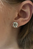 White Gold Diamond Stud Earrings - 14k Round Brilliant 6.03ctw IGI & HRD Pierced