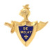 Yellow Gold DeMolay Blue Enamel Vintage Mini Lapel Pin - 10k Masonic Youth Yellow Gold DeMolay Blue Enamel Vintage Mini Lapel Pin - 10k Masonic Youth
