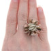 Silpada Cha Cha Cocktail Statement Ring - Sterling 925 Brass Floral R1978 Size 6 Silpada Cha Cha Cocktail Statement Ring - Sterling 925 Brass Floral R1978 Size 6