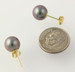 NEW Tahitian Pearl Stud Earrings - 18k Yellow Gold 9mm High Karat Pierced NEW Tahitian Pearl Stud Earrings - 18k Yellow Gold 9mm High Karat Pierced