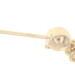 Yellow Gold Bead Dangle Earrings - 14k Cable Chain Pierced Yellow Gold Bead Dangle Earrings - 14k Cable Chain Pierced