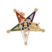 Yellow Gold Order of the Eastern Star Enamel Lapel Pin - 14k Women's Masonic OES Yellow Gold Order of the Eastern Star Enamel Lapel Pin - 14k Women's Masonic OES