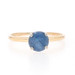 Yellow Gold Sapphire Solitaire Engagement Ring - 14k Round .65ct Yellow Gold Sapphire Solitaire Engagement Ring - 14k Round .65ct