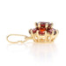 Yellow Gold Garnet Cluster Halo Pendant - 14k Round 3.00ctw Flower Yellow Gold Garnet Cluster Halo Pendant - 14k Round 3.00ctw Flower