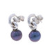 White Gold Purple Akoya Pearl Dangle Earrings - 14k Pierced Treated White Gold Purple Akoya Pearl Dangle Earrings - 14k Pierced Treated