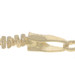 Yellow Gold Sparkle Chain Necklace 16" - 14k Italy Yellow Gold Sparkle Chain Necklace 16" - 14k Italy