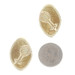 Yellow Gold Ribbed Shell Large Stud Earrings - 18k Dome Clip-Ons Yellow Gold Ribbed Shell Large Stud Earrings - 18k Dome Clip-Ons