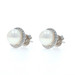White Gold Freshwater Pearls Diamond Halo Stud Earrings 14k .10ctw Pierced