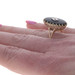 Yellow Gold Diamond Onyx Ring - 10k Single Yellow Gold Diamond Onyx Ring - 10k Single