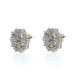 Diamond Floral Snowflake Cluster Halo Stud Earrings - Single 1.00ctw Pierced