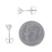 White Gold Diamond Stud Earrings - 14k Round Brilliant .62ctw Pierced Screw-Ons