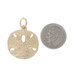 Yellow Gold Sand Dollar Charm - 14k Ocean Life Beach