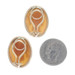Yellow Gold Carved Shell Cameo Vintage Stud Earrings - 14k Non-Pierced Clip-Ons