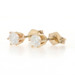 Yellow Gold Diamond Stud Earrings - 14k Round Brilliant .50ctw Pierced