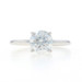 White Gold Lab-Created Diamond Solitaire Engagement Ring - 18k Round 1.50ct