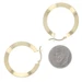 Yellow Gold Flat Round Hoop Earrings - 18k Pierced