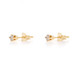 Yellow Gold Diamond Stud Earrings - 14k Round Brilliant .16ctw Pierced
