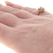 Rose Gold Morganite Diamond Halo Ring - 14k Round .72ctw