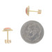 Yellow Gold Coral Stud Earrings - 14k Oval Cabochon Rope Pierced