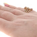 Yellow Gold Diamond Ruby Bypass Ring - 14k Round Brilliant .60ctw