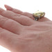David Yurman Chatelaine 14mm Diamond Ring - Sterling 925 Yellow Gold 18k