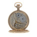 Elgin Botanical Hunter Men's Watch - Gold Filled Manual 2 320 0s Nature Antique