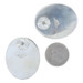 Sterling Silver Oval Dome Drop Earrings - 925 Pierced