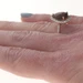 Le Vian Chocolate Quartz Diamond Halo Ring - Rose Gold 14k 3.60ctw