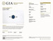 Platinum Sapphire Diamond Ring - 900 Oval 2.55ctw GIA