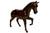 Walking Horse (12") Handcrafted Lifelike Leather Sculpture for Home or Office Decor