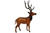 Deer 24" Handcrafted Lifelike Leather Sculpture for Home or Office Decor