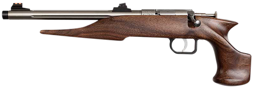 Chipmunk 40101 Hunter  Youth Frame 22 S/L/LR Single Shot 9" Threaded Stainless Steel Barrel, Walnut Frame, EZ Loader