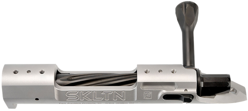 P2 IN-00285 SKLTN LA LH STANDARD TI