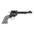 Heritage Rough Rider RR22B6-TH