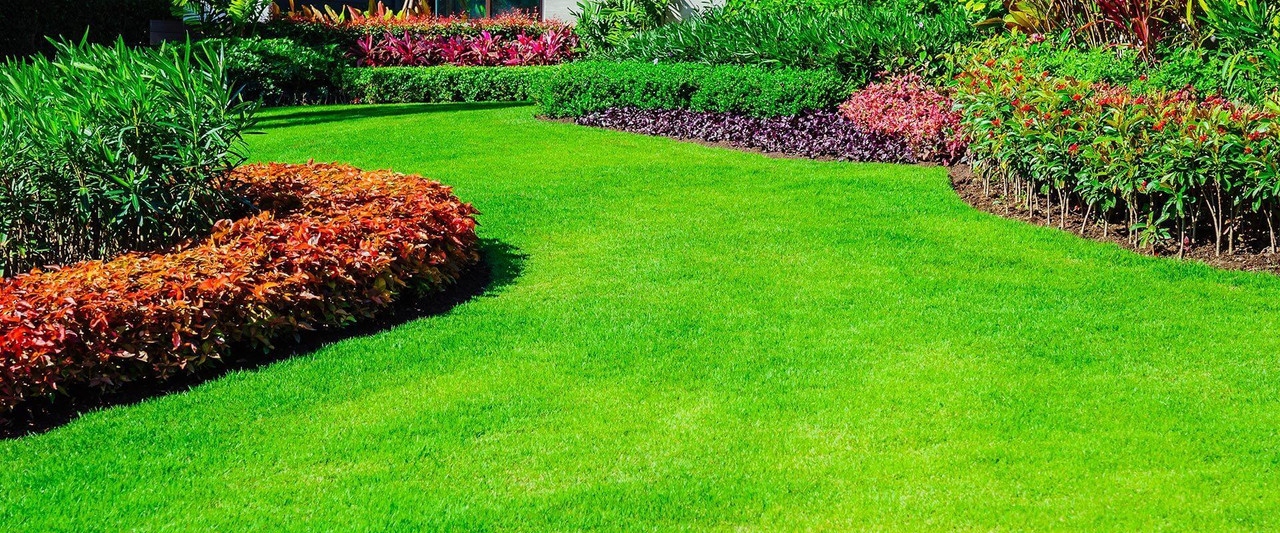Cool Season Grass & Lawn Seed