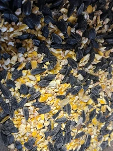 Hines Wild Bird Mix