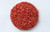 Wheat Seed 48 Lb Coated*