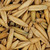 Forage Oat Seed 48 LB