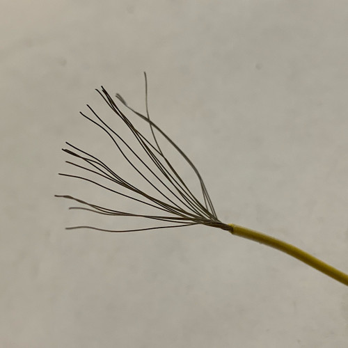 M16878/17-20-19-4 (BN-20-19-04)