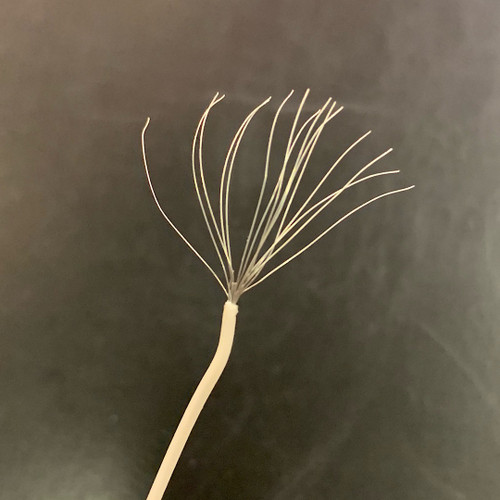 M16878/17-24-19-9 (BN-24-19-09)