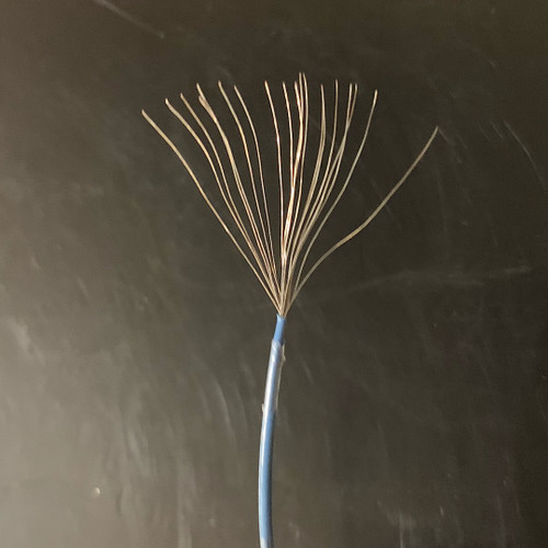 M16878/17-24-19-6 (BN-24-19-06)