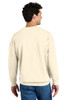 back of the Comfort Colors® Lightweight Crewneck Sweatshirt on a model 