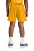 Sport-Tek® Youth PosiCharge® Mesh 5' Short model back