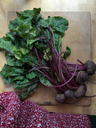Beets: Why These Deeply Colored (Staining!) Root Veggies are Densely Nutritious Beets: Why These Deeply Colored (Staining!) Root Veggies are Densely Nutritious