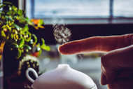 Using Aromatherapy to Facilitate Mood and Influence Focus Using Aromatherapy to Facilitate Mood and Influence Focus