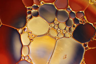 Noncomedogenic Oils That Don't Clog Pores or 'Mask' the Skin