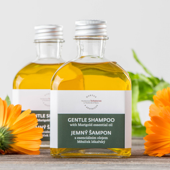 Gentle Shampoo with Marigold Essential Oil | 6.6 oz (Pre-order)