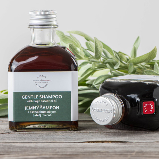 Gentle Shampoo with Sage Essential Oil