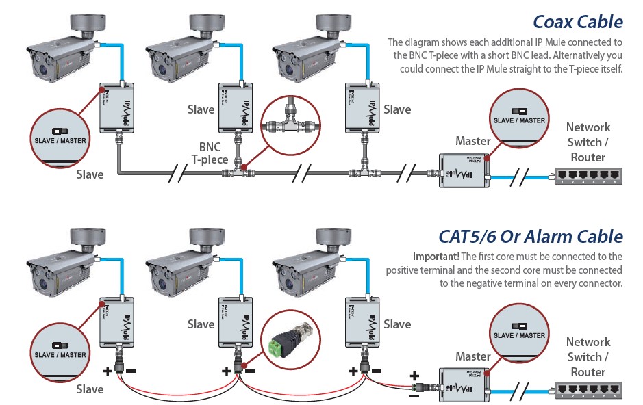 Connection of the IP Mule