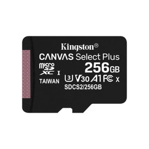 Kingston 256GB Micro SD Card